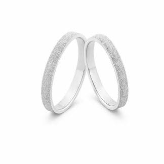 Alianças de Aço Slim Bright 2.95mm + Estojo Luxo