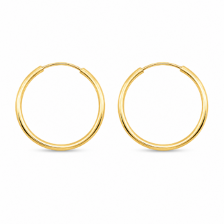 Brinco Argola em Ouro 18k + Estojo Luxo